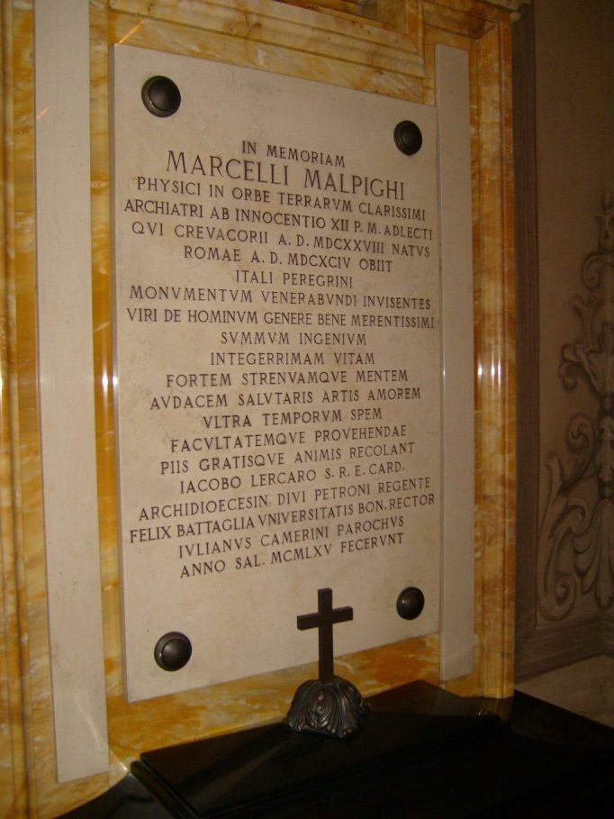Marcello%20Malpighi%27s%20tomb%202%2C%20Bologna%2C%20Italy.JPG